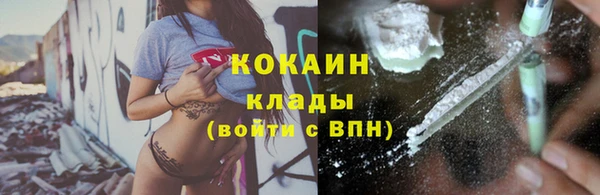 индика Аркадак