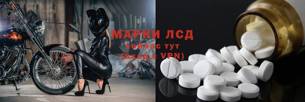 индика Аркадак