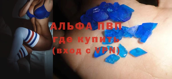 индика Аркадак