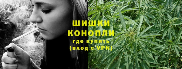 индика Аркадак