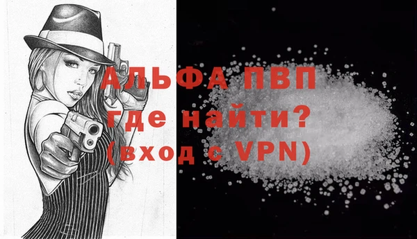индика Аркадак