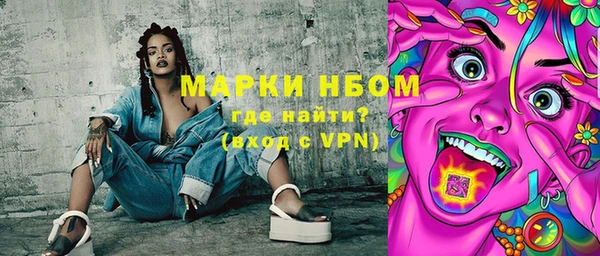 индика Аркадак