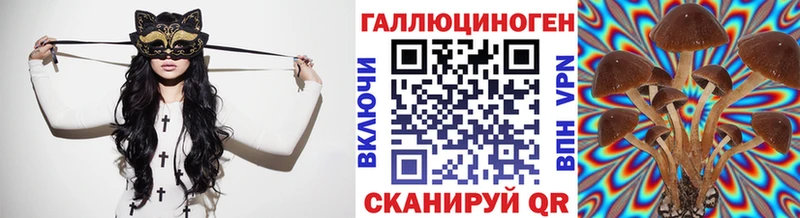 Псилоцибиновые грибы Psilocybine cubensis  Лобня 